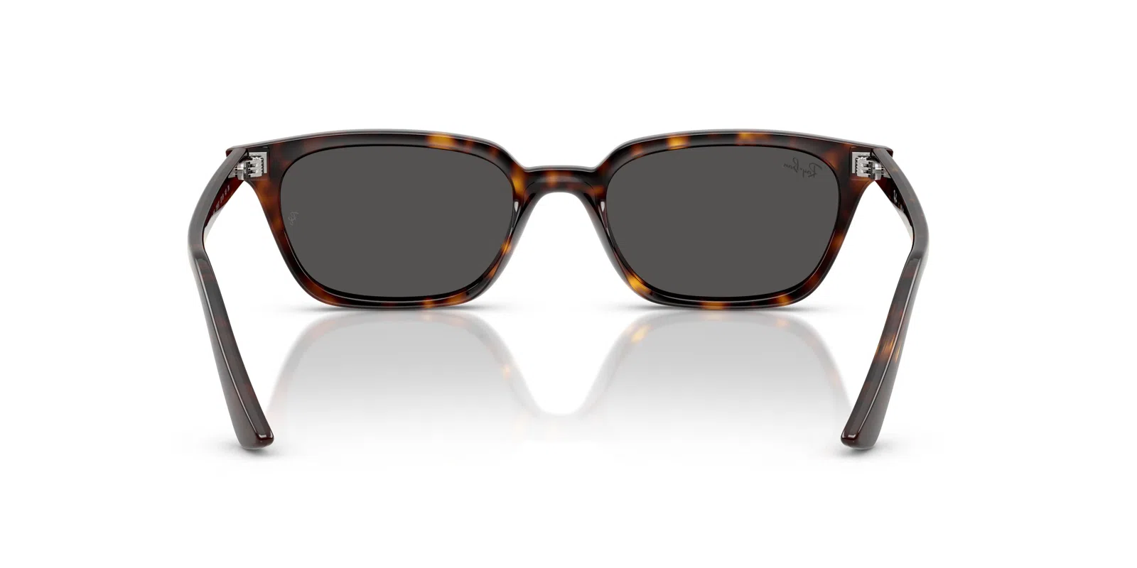 Ray-Ban Zaya 4456 Sunglasses - view 39